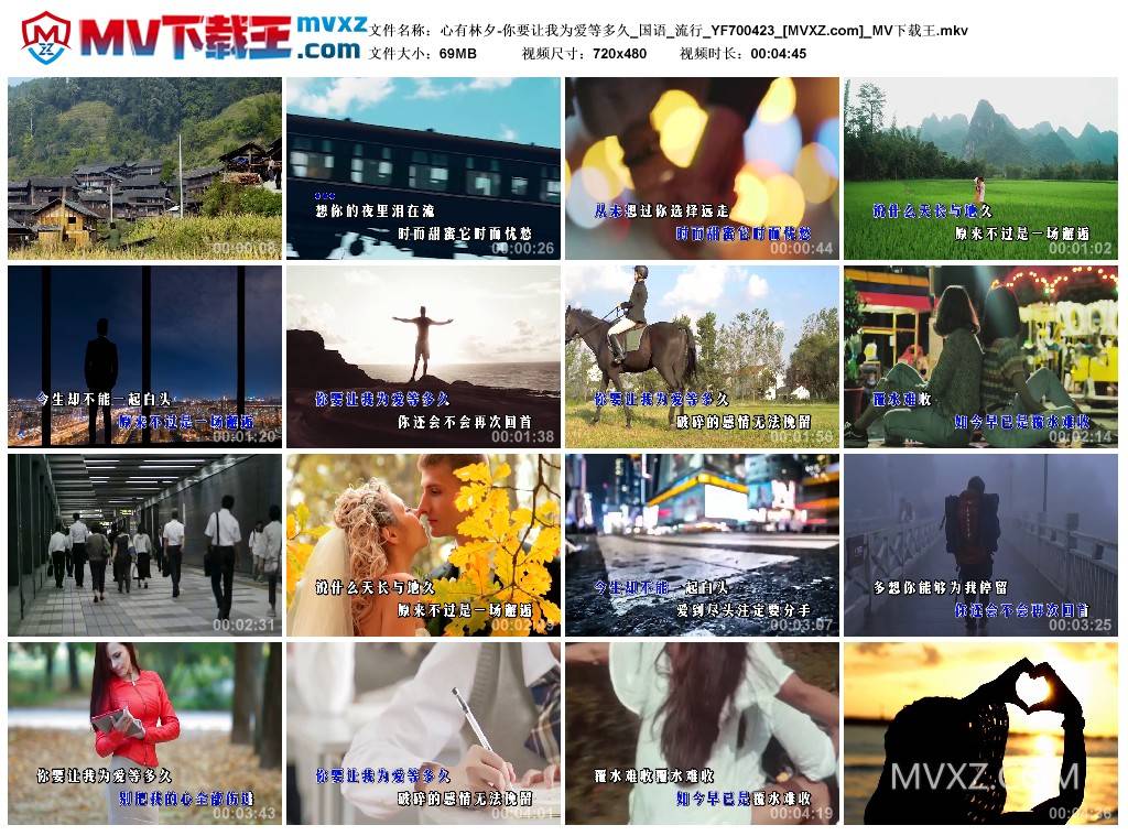 心有林夕-你要让我为爱等多久_国语_流行_YF700423
